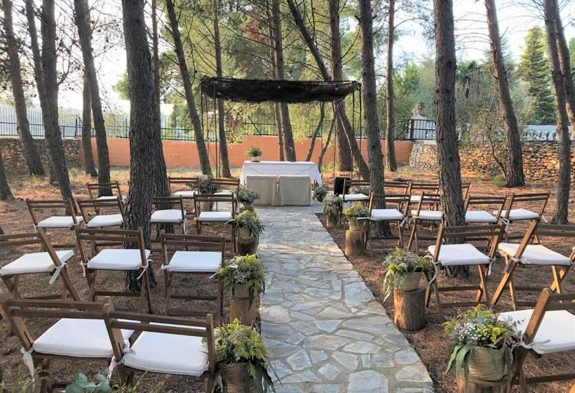 乡村酒店  Mas El Cuquello