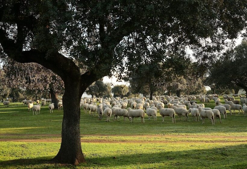 Palacio Viejo De Las Corchuelas