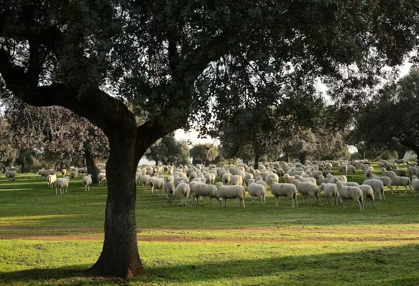 Palacio Viejo De Las Corchuelas