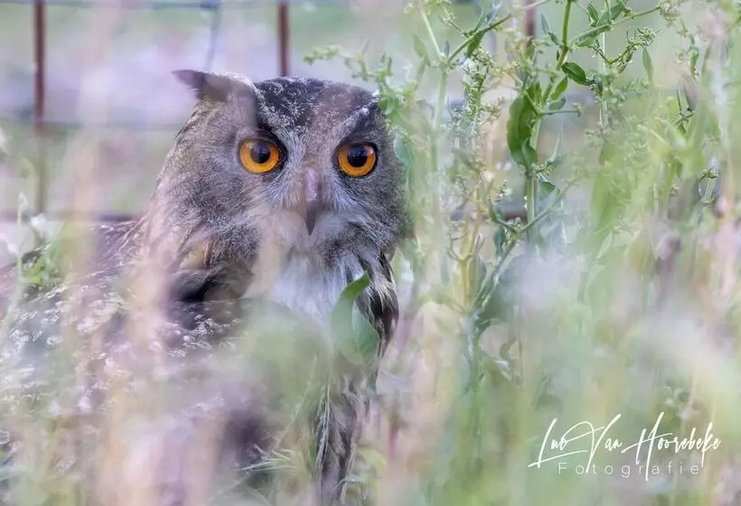 Palacio Viejo De Las Corchuelas