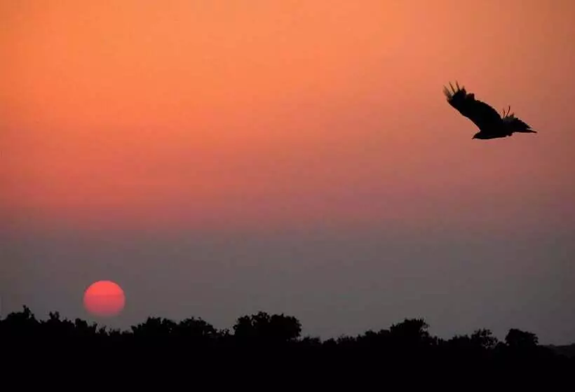 Palacio Viejo De Las Corchuelas