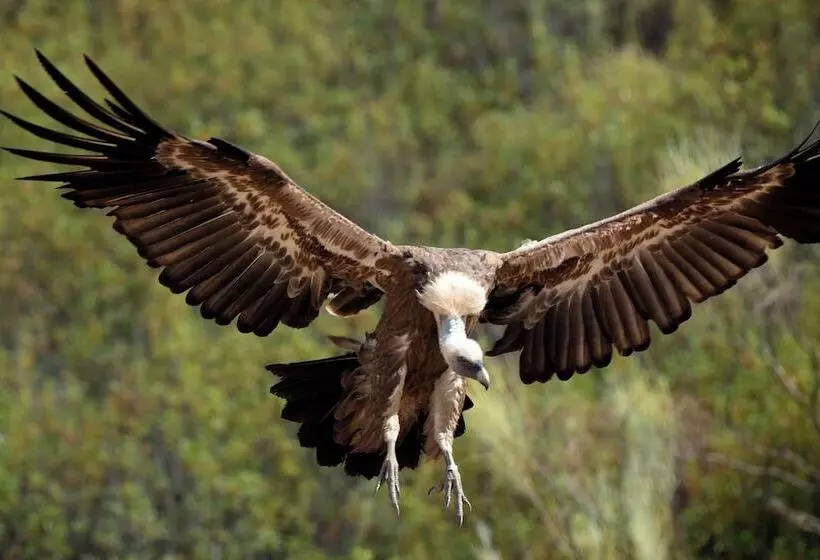 Palacio Viejo De Las Corchuelas