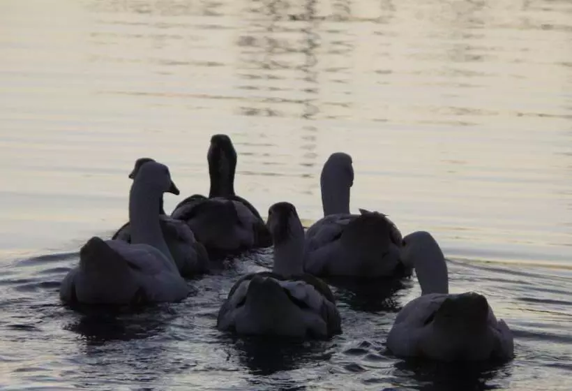 Palacio Viejo De Las Corchuelas