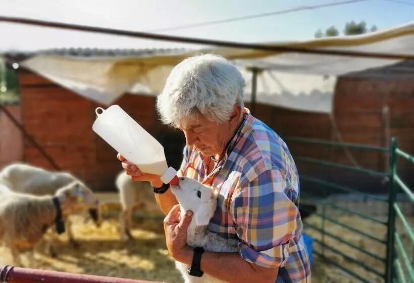 Palacio Viejo De Las Corchuelas