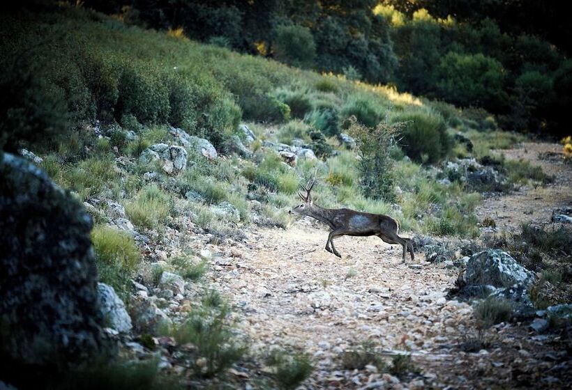 Palacio Viejo De Las Corchuelas