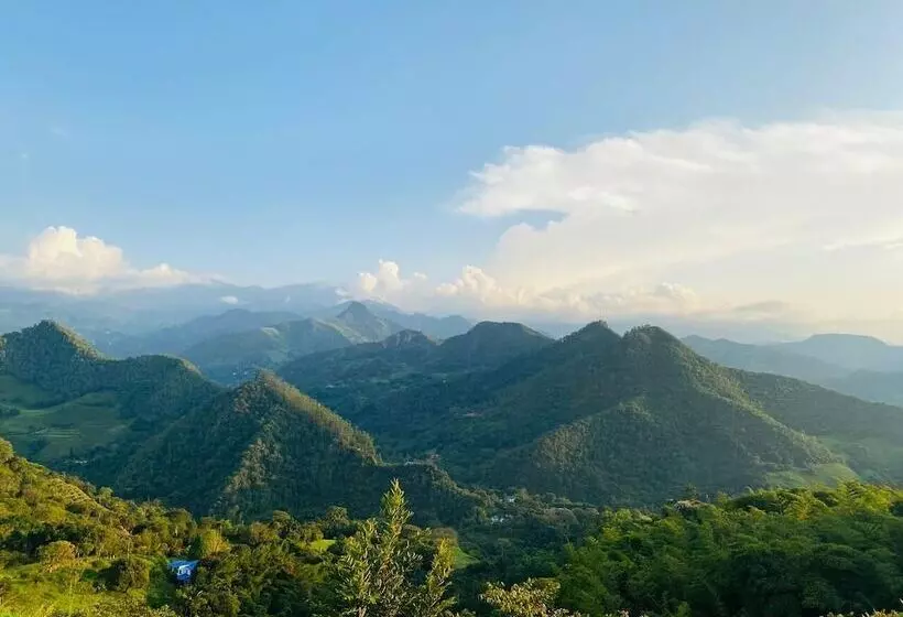 Hotelli Boutique Rossé