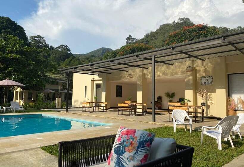 酒店 Boutique Rossé