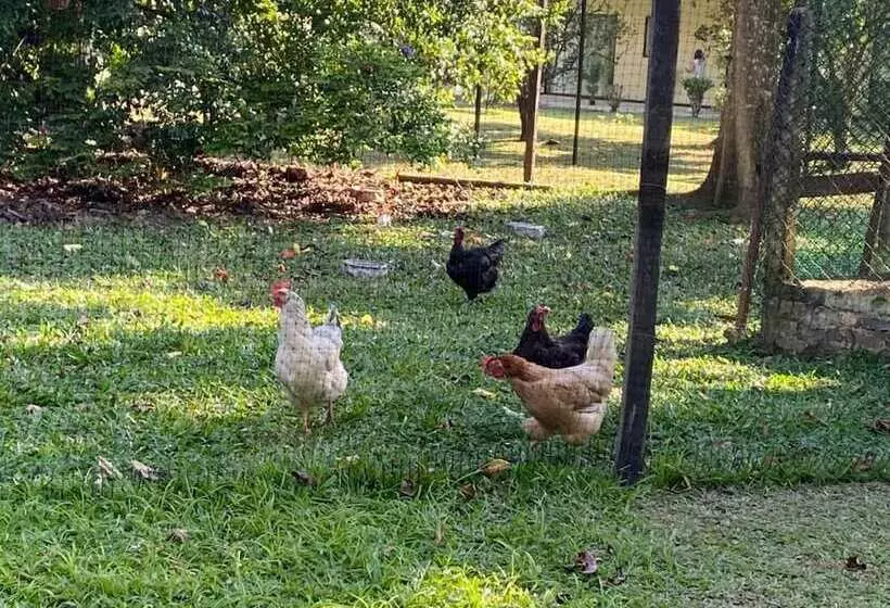 Hotelli Boutique Rossé