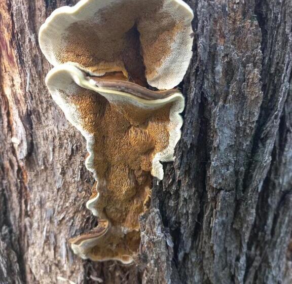 پانسیون Urban Farm Haus Guesthouse