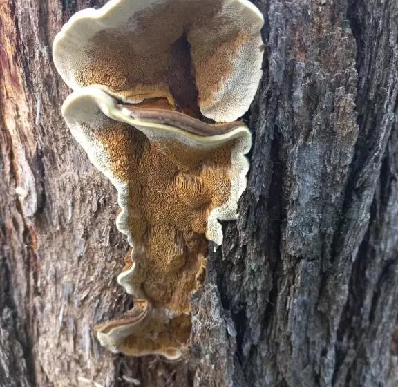 پانسیون Urban Farm Haus Guesthouse