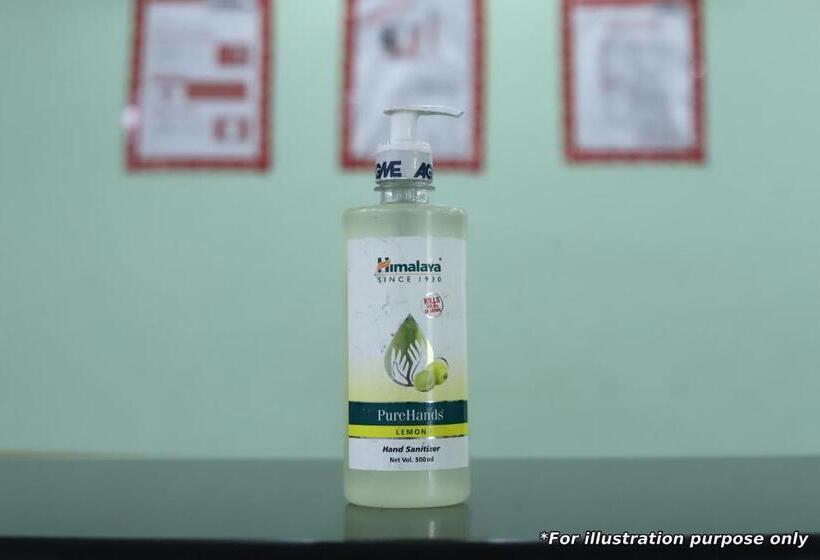 Hotel Spot On 83131 Saini Property