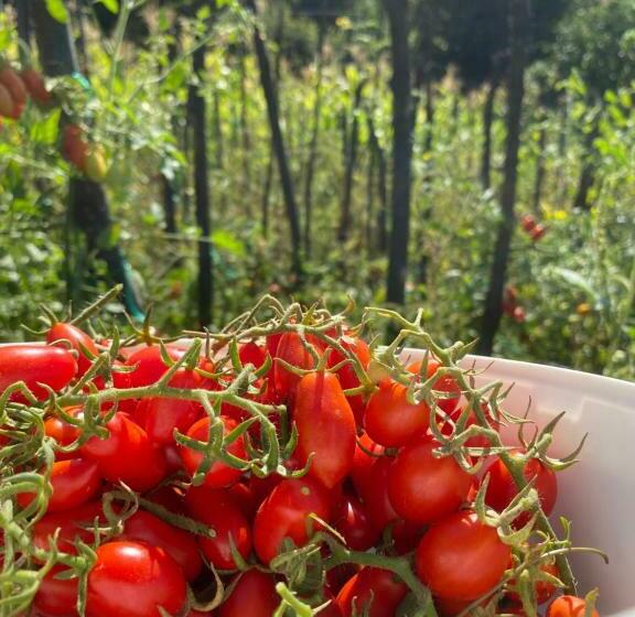 호텔 Rritja E Koranit