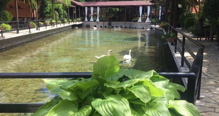 호텔 Rritja E Koranit