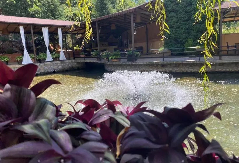 ホテル Rritja E Koranit