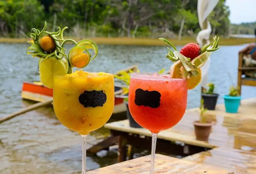 ペンション Pousada Bellatrix Ecolodge   Reserva De Sapiranga   Praia Do Forte   Bahia