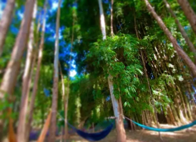 Majatalo Pousada Do Bosque