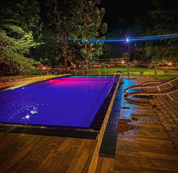 فندق صغير Birds Paradise Inn