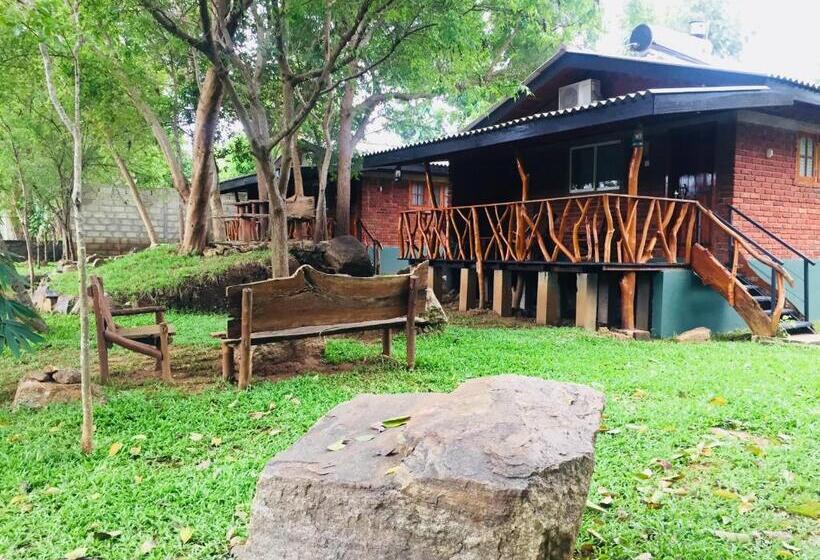 فندق صغير Birds Paradise Inn