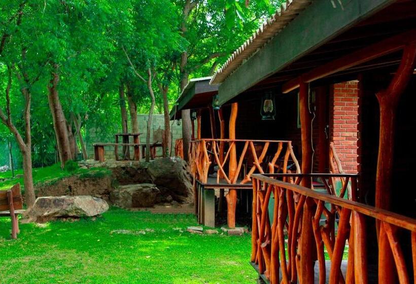 فندق صغير Birds Paradise Inn