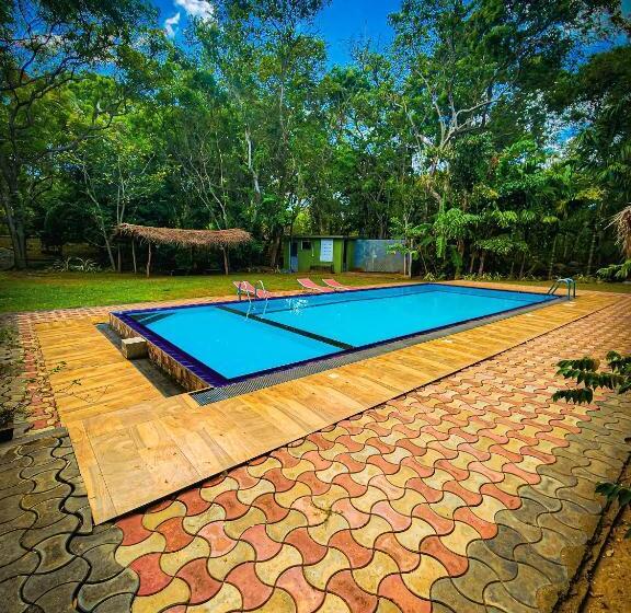 فندق صغير Birds Paradise Inn