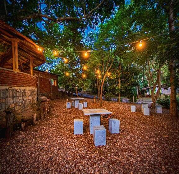 فندق صغير Birds Paradise Inn