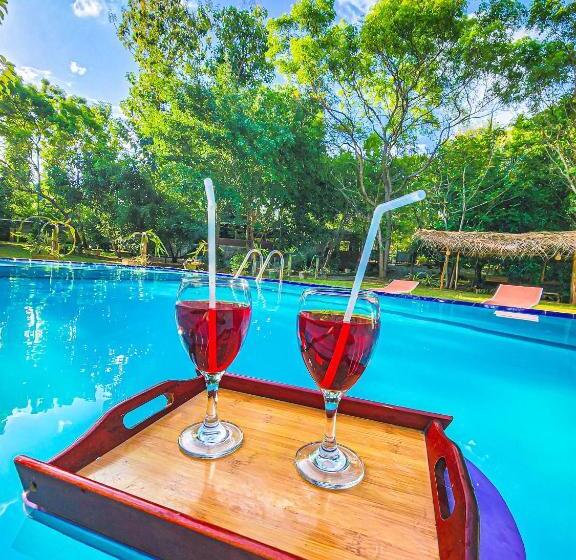 فندق صغير Birds Paradise Inn