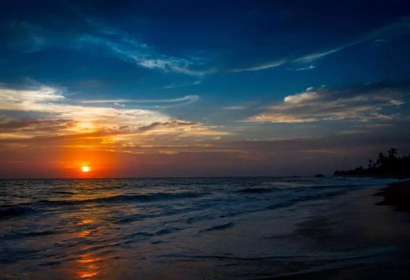 Backpack Beach Hostel & Reggae Bar