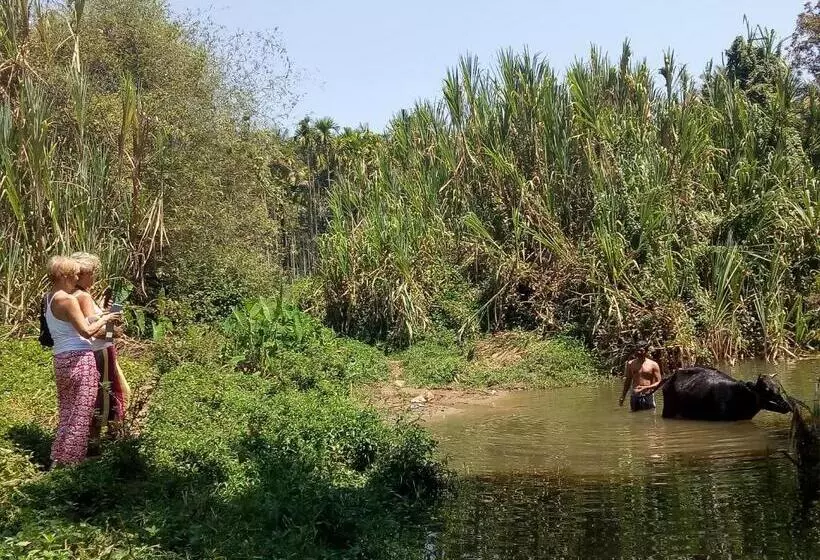 Aamiaismajoitus (B&B) The Suvistara Wayanad Kerala