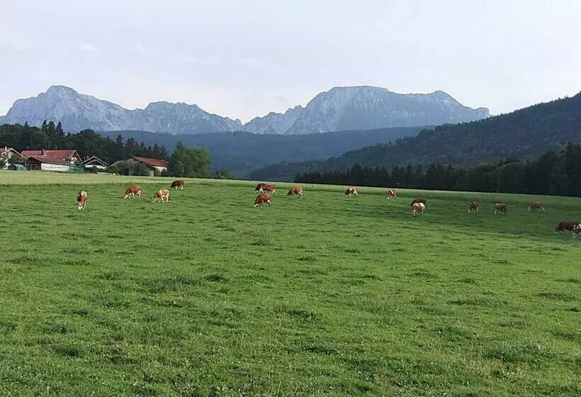 ホテル Straßer Hof