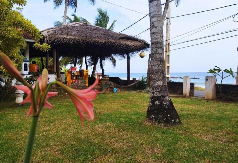 호텔 Sunchaser Beach