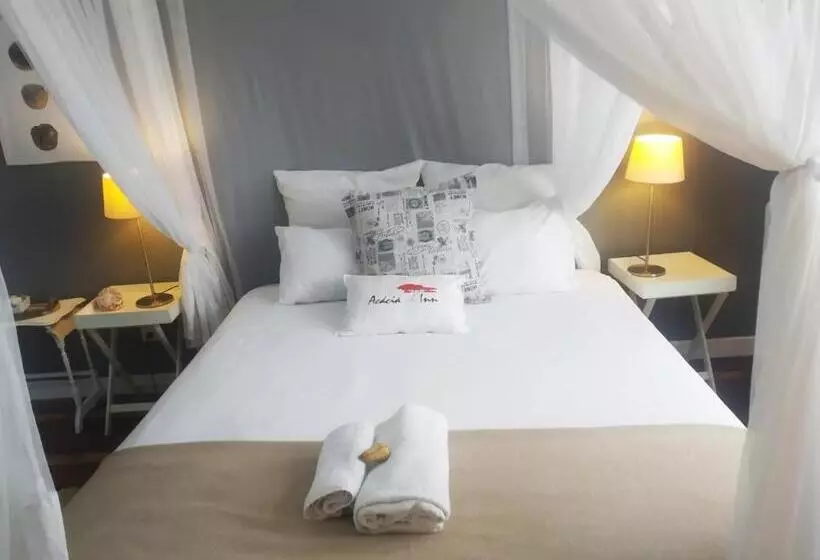 ペンション Acacia Inn Guesthouse