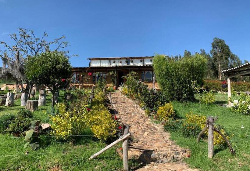 Пансион Rancho Carrizal