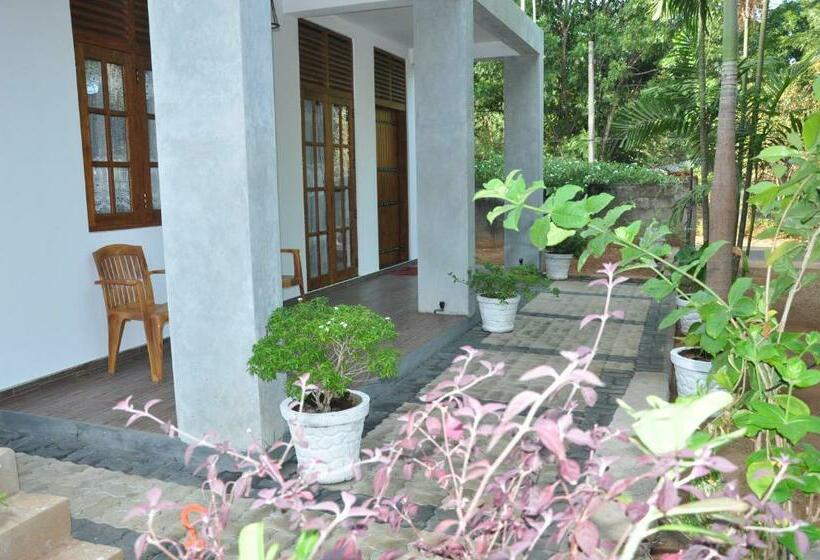 بنسيون Summerland Residence