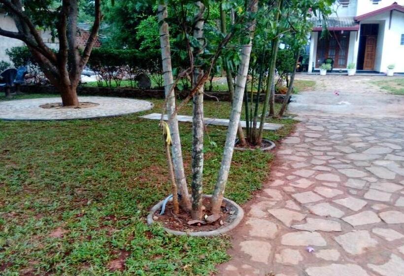 بنسيون Summerland Residence