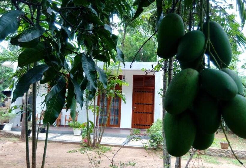 بنسيون Summerland Residence