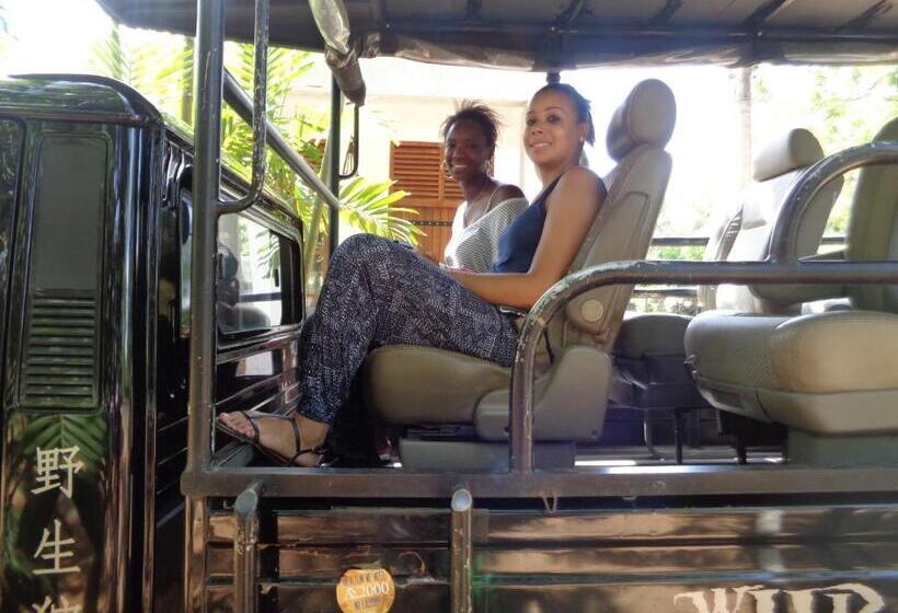 بنسيون Summerland Residence