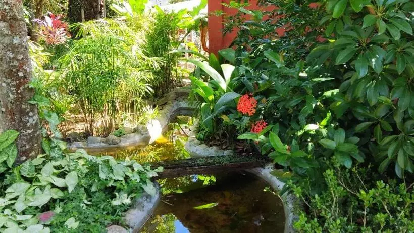 ペンション Pousada Villa Luna