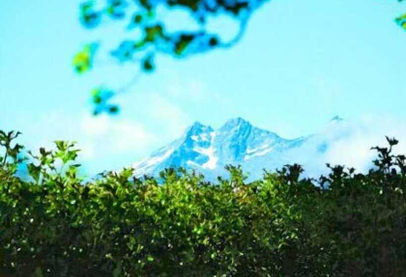 ホテル Arrowtown House Boutique