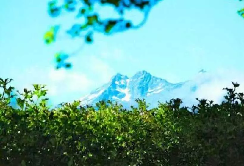 호텔 Arrowtown House Boutique