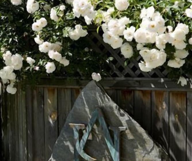 ホテル Arrowtown House Boutique