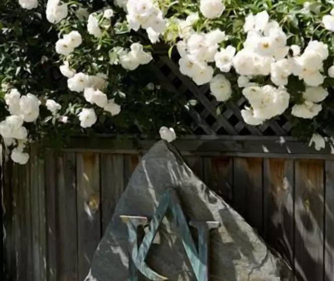 호텔 Arrowtown House Boutique