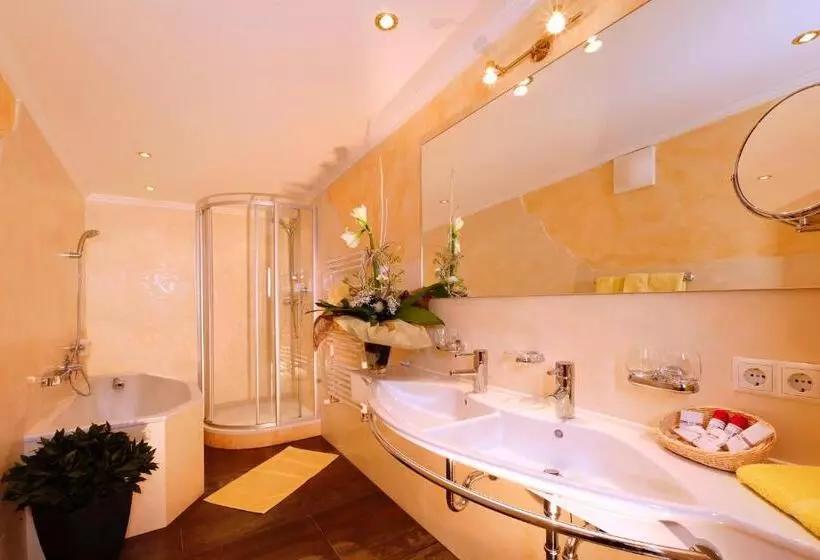 בית מלון כפרי Regina