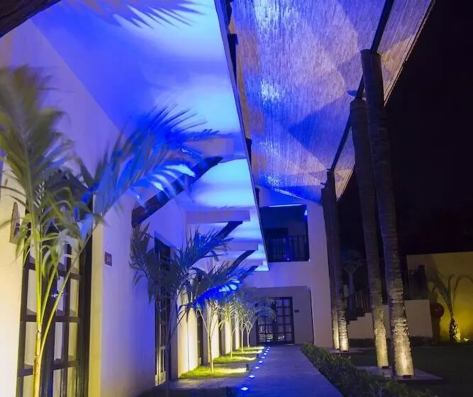 The Rhino Resort Hotel & Spa