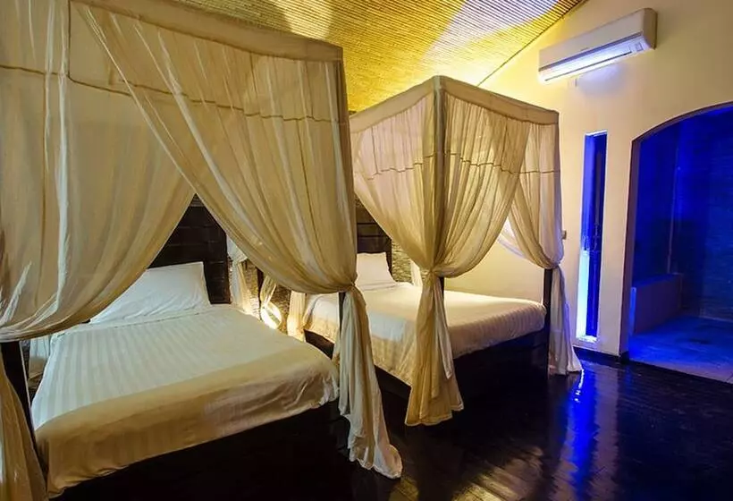 The Rhino Resort Hotel & Spa