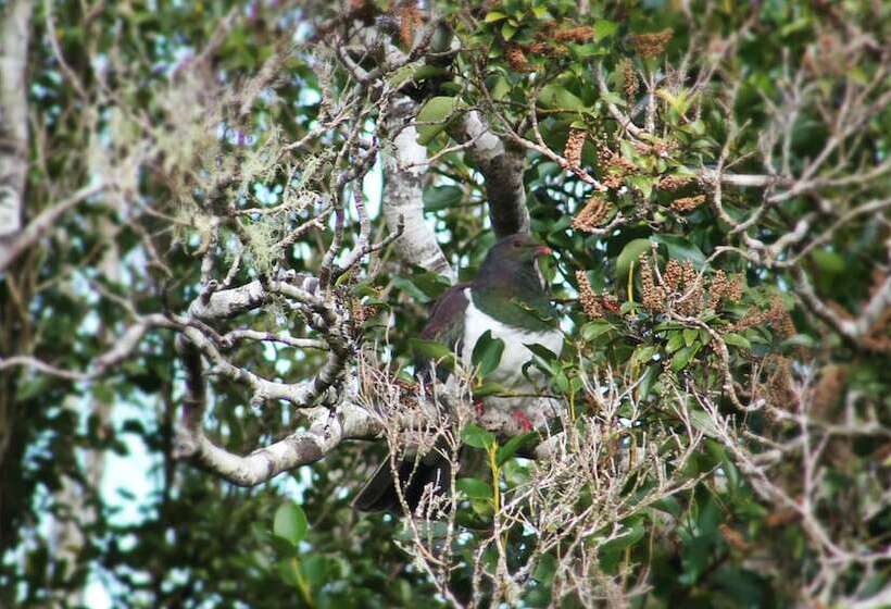 Отель Westwood Lodge