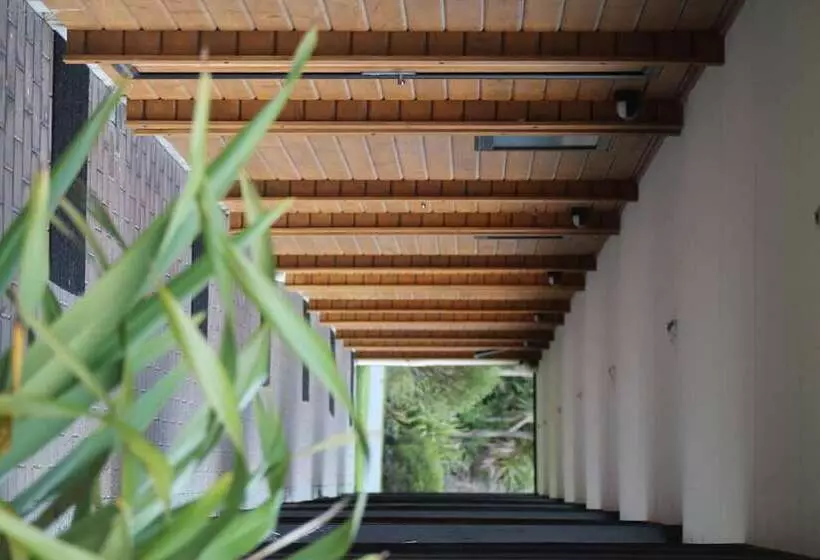 酒店 Westwood Lodge