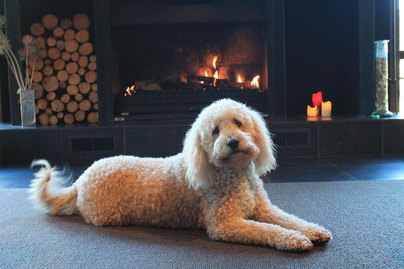 Отель Westwood Lodge