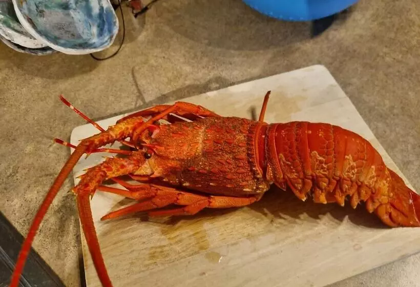 Motelli Kaikoura Quality Suites