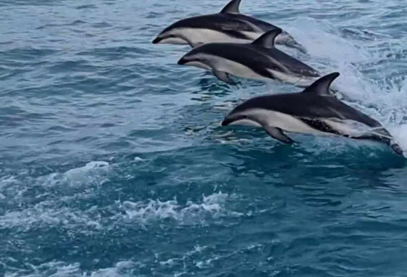 Motelli Kaikoura Quality Suites