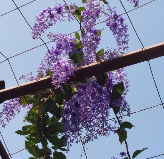 Hotel ต้งโฮมหละปูน